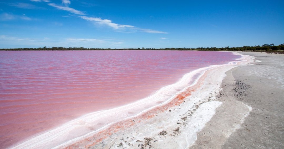 Orilla del lago rosa de Las Coloradas