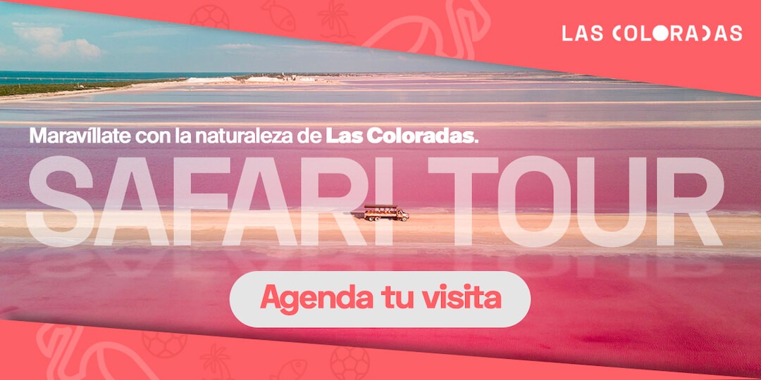 Banner Las Coloradas Safari Tour
