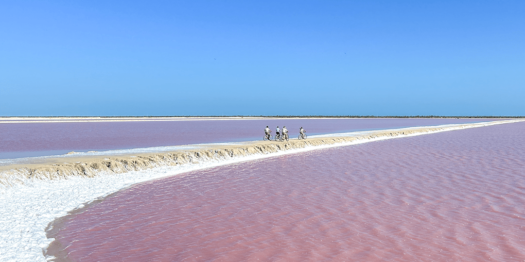 Visitantes paseando en bicicleta en Las Coloradas