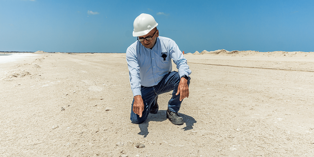 Guía para visitas en Las Coloradas