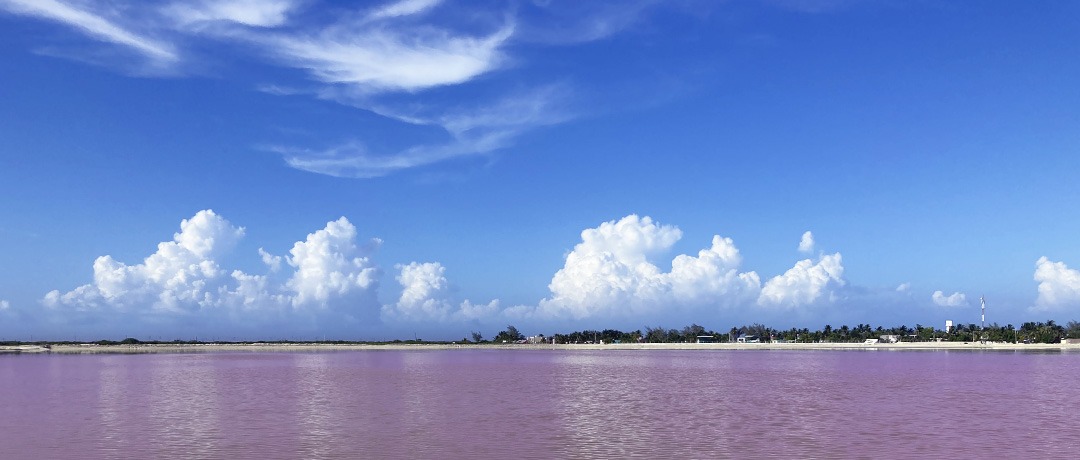Laguna rosa, Las Coloradas