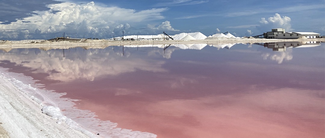 Salinera en Las Coloradas