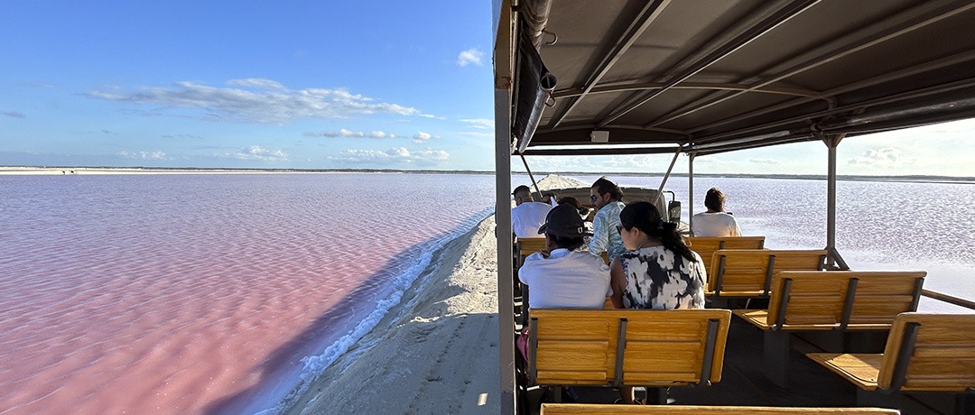 Visitantes en Tour Safari en Las Coloradas.