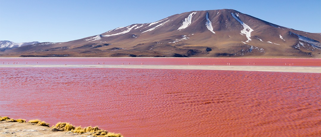 Altiplano boliviano en la Laguna Colorada