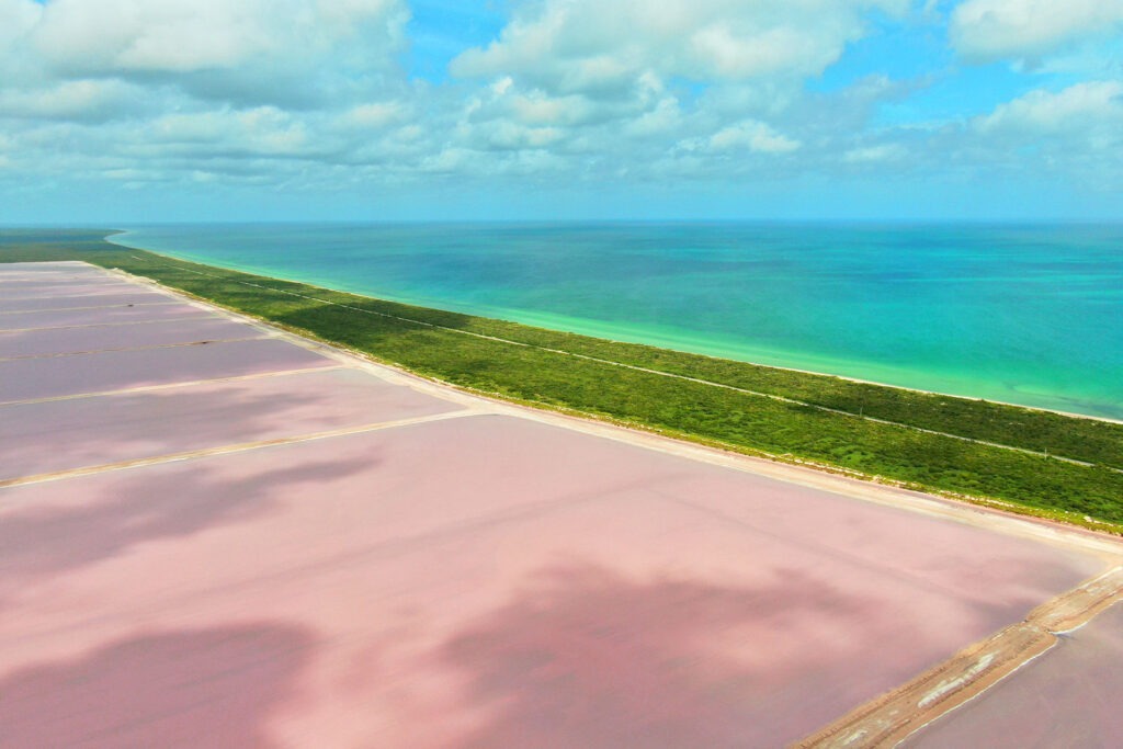 Vista aérea y vegetación costera en Cancunito, destino eco-turístico.
