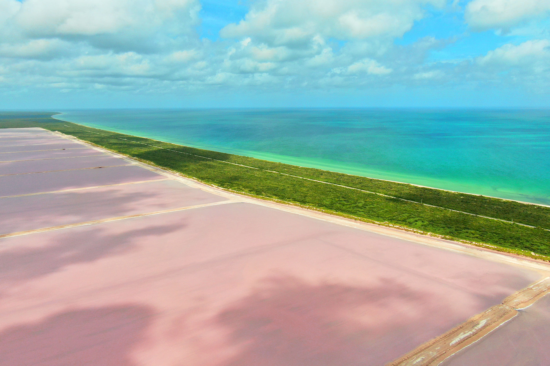 Vista aérea y vegetación costera en Cancunito, destino eco-turístico.