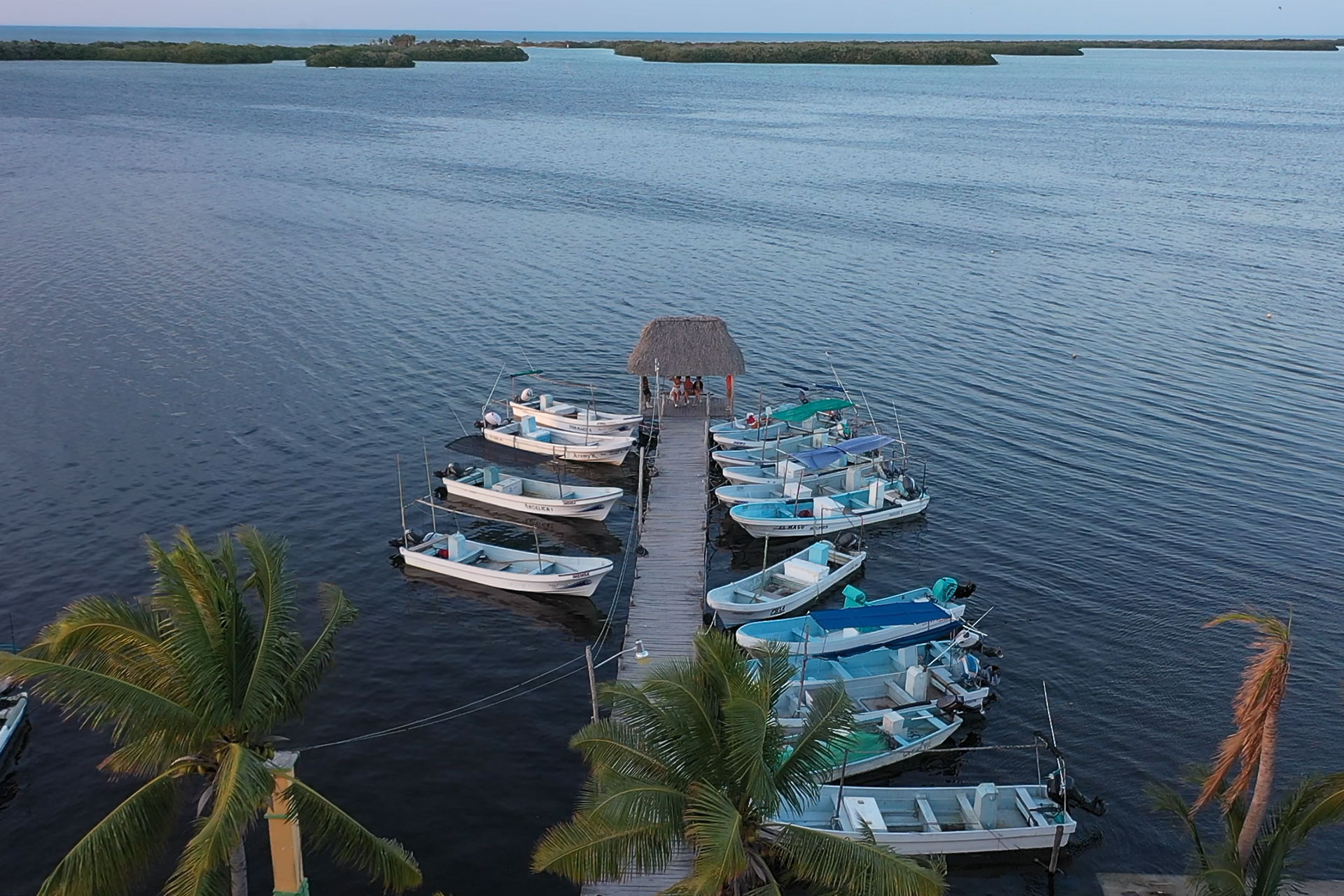 Puerto pesquero localizado dentro de la Reserva de la Biósfera Ría Lagartos